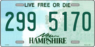 NH license plate 2995170