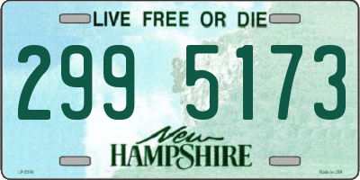 NH license plate 2995173