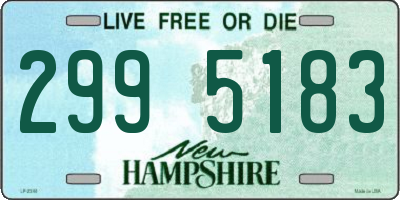 NH license plate 2995183
