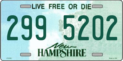 NH license plate 2995202