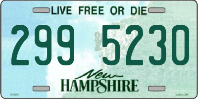 NH license plate 2995230