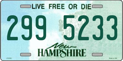 NH license plate 2995233