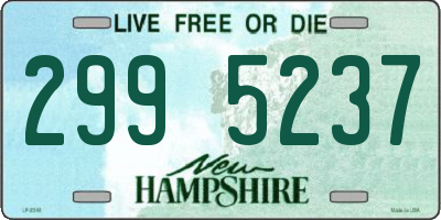 NH license plate 2995237