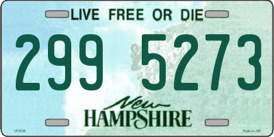 NH license plate 2995273