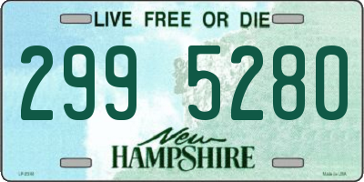NH license plate 2995280