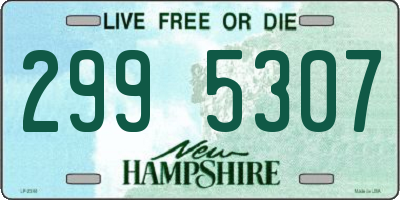 NH license plate 2995307