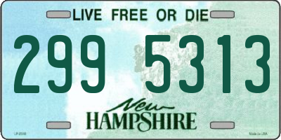 NH license plate 2995313