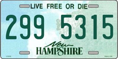 NH license plate 2995315