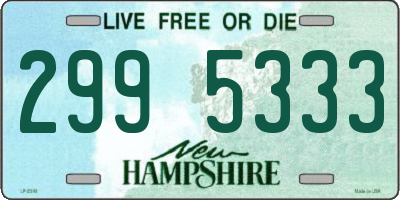 NH license plate 2995333