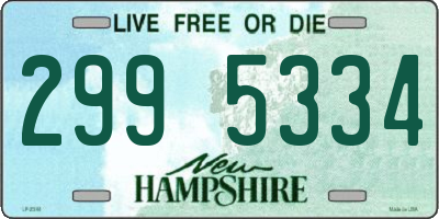 NH license plate 2995334