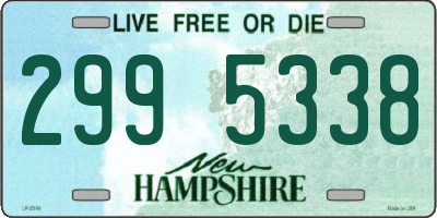 NH license plate 2995338