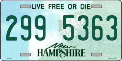 NH license plate 2995363
