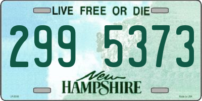 NH license plate 2995373