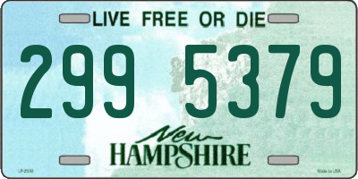NH license plate 2995379