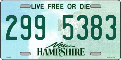 NH license plate 2995383