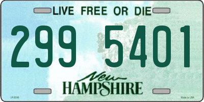 NH license plate 2995401