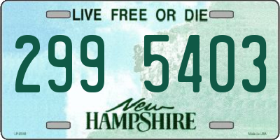 NH license plate 2995403