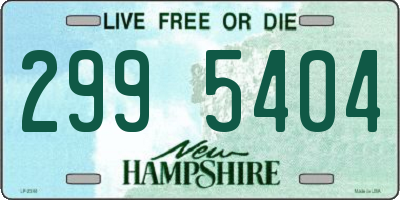 NH license plate 2995404