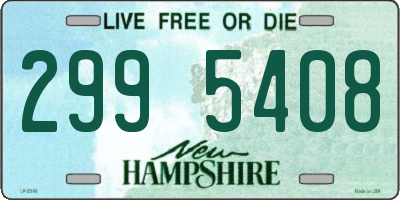 NH license plate 2995408