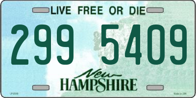 NH license plate 2995409
