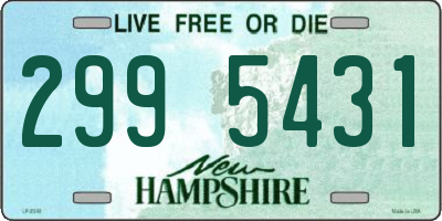 NH license plate 2995431