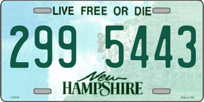 NH license plate 2995443