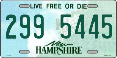 NH license plate 2995445
