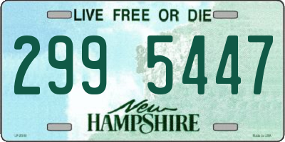 NH license plate 2995447