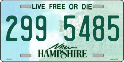 NH license plate 2995485