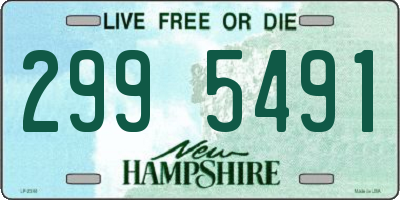NH license plate 2995491