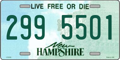 NH license plate 2995501