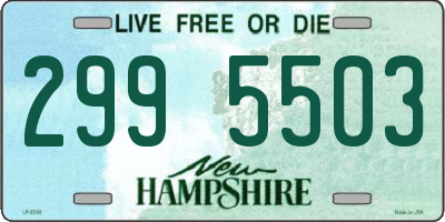 NH license plate 2995503