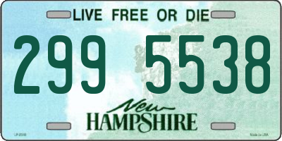 NH license plate 2995538