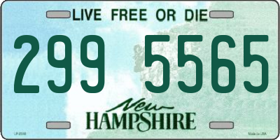 NH license plate 2995565