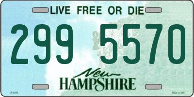 NH license plate 2995570