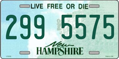 NH license plate 2995575