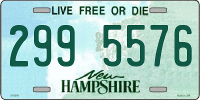 NH license plate 2995576