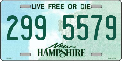 NH license plate 2995579