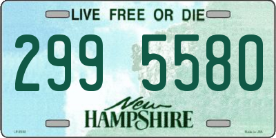 NH license plate 2995580