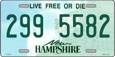 NH license plate 2995582