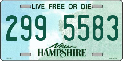 NH license plate 2995583