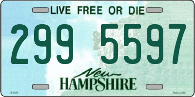 NH license plate 2995597