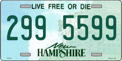 NH license plate 2995599