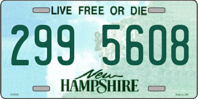 NH license plate 2995608