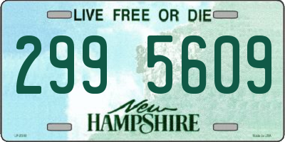 NH license plate 2995609