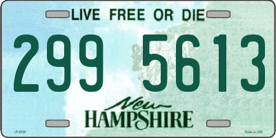 NH license plate 2995613