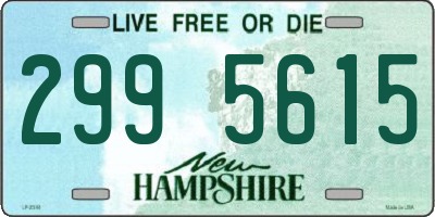 NH license plate 2995615