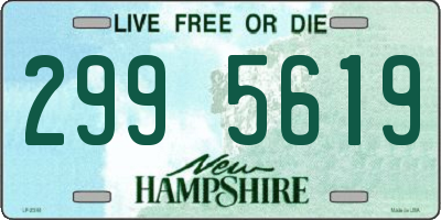 NH license plate 2995619