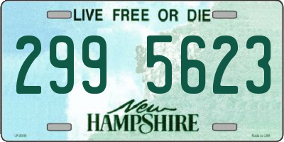 NH license plate 2995623