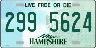 NH license plate 2995624